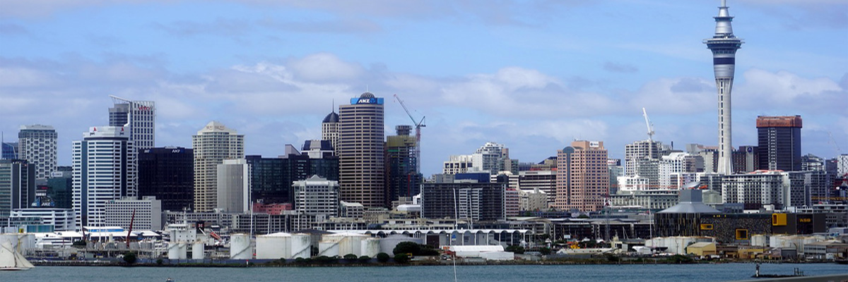 Auckland Layover Guide AKL